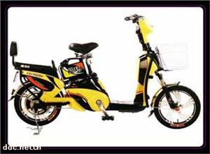 爱玛电动车神牛系列弯道情人款