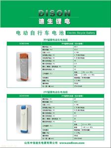 电动自行车电池