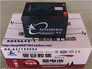 48V12A电动车电池