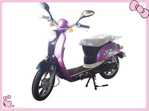 350W48V乐驰锂电池电动车