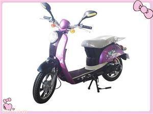 350W48V乐驰锂电池电动车
