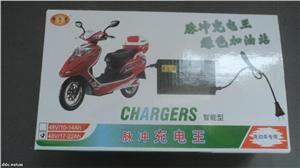 腾达星智能型脉冲充电器