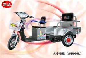 大安花旗载客客运电动三轮车