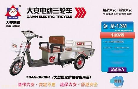 大安金星-1.3M货运电动三轮车