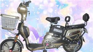 48V16寸佳缘神州行电动自行车