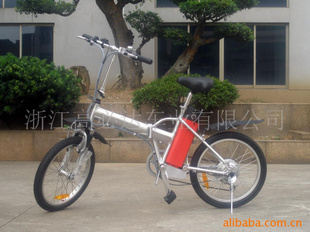 浙江永康20寸简易款电动自行车