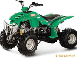 沙滩车200CC(XW-A19)
