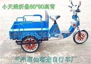 500W蓝色阳光仙客来电动三轮车