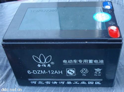 6-DZM-12Ah,金佰荷动车电池