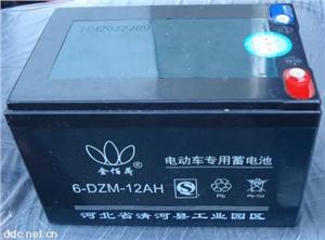 6-DZM-12Ah,金佰荷动车电池