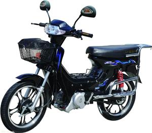 厂家直销黄金甲燃油助力车