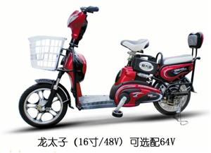 电动车散件、套件、整车代加工（龙太子）