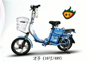 电动车散件、套件、整车代加工
