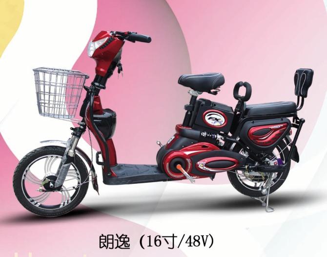 电动车散件、套件、整车代加工（朗逸）