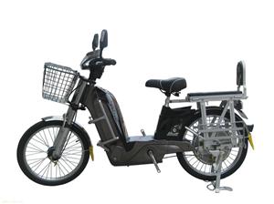 名将电动车，新大洋，大水牛