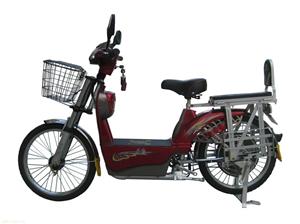 名将电动车，金豹王