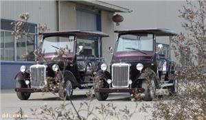 湖南电动看房观光车