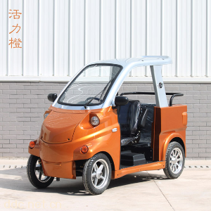 大丰和超微型电动车系列