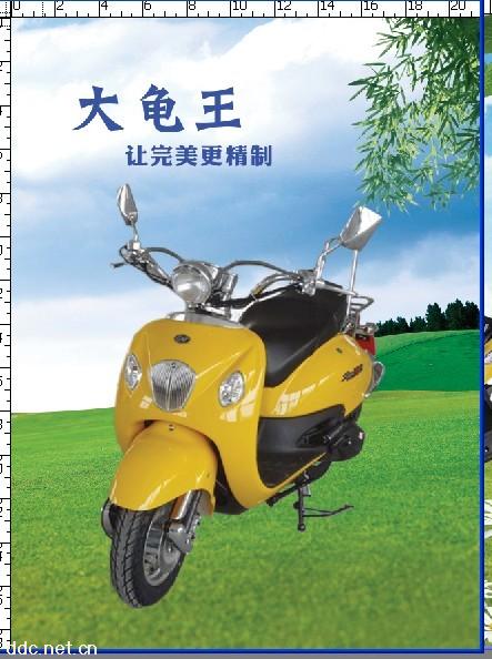 大龟王助力车