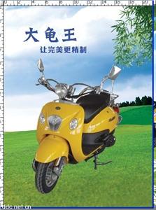 大龟王助力车