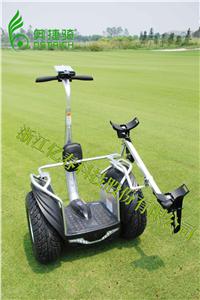 segwayƽ綯۸