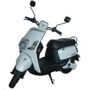 众驰48V500W酷派