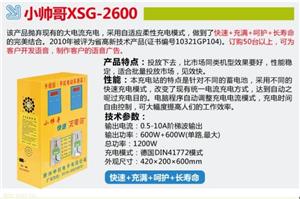 徐州中创小帅哥挂壁式投币式电动车快速充电站XSG-2600