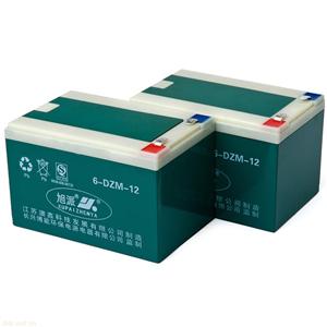 旭派6-DZM-12电动车电池
