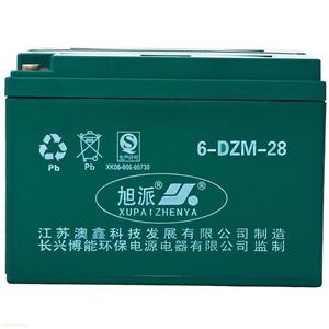旭派6-DZM-28电动车电池