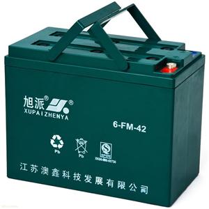 旭派48V,42Ah电动车电池