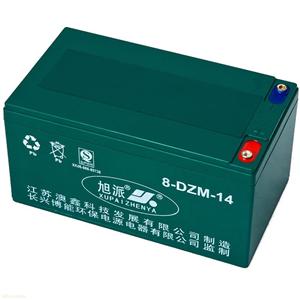 旭派48V,14Ah电动车电池