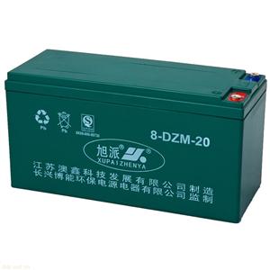 旭派48V,20Ah电池