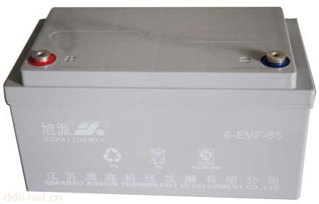 旭派6-EVF-65电动车电池
