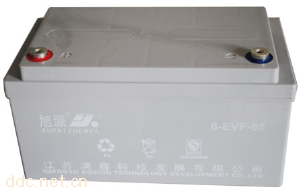 旭派6-EVF-65电动车电池