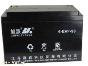 旭派6-EVF-90电动车电池