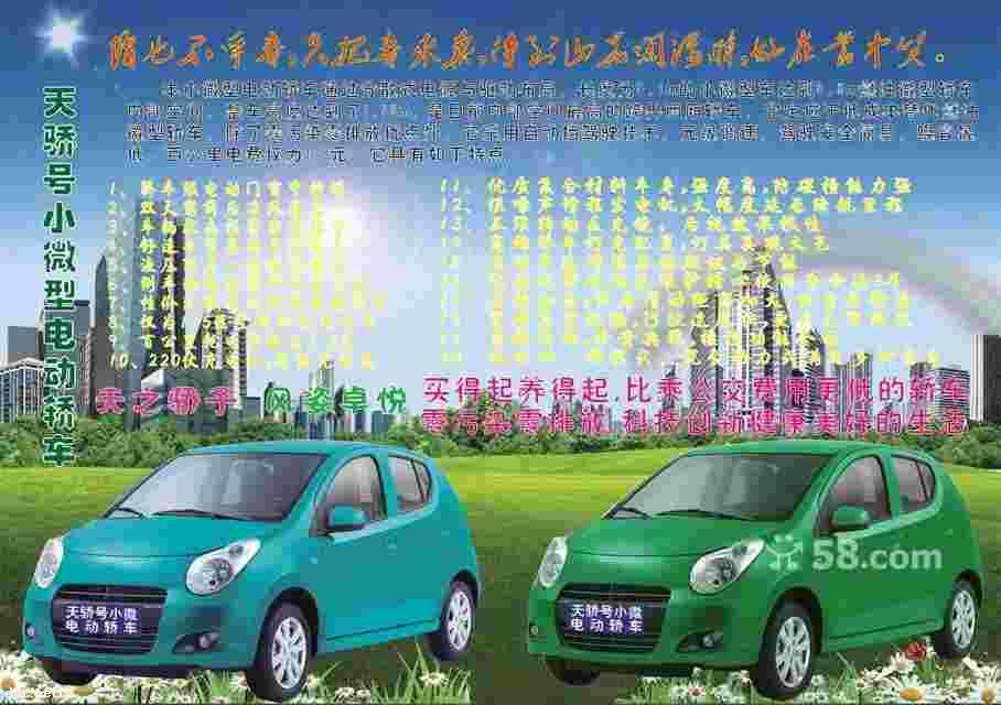 2013湖南长沙天野天阅一号电动汽车