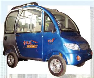 全封闭豪华电动四轮车