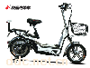48V12AH奥斯电单车