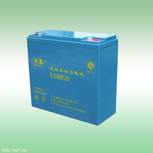 广东电动车6-DZM-24电池