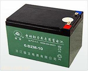 浙江振龙电动车专用蓄电池6-DZM-10