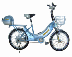 DBR电动自行车-百乐狮简易款