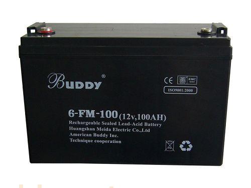 双源电车用动力蓄电池6-FM-100