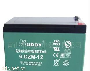 宝迪电动车蓄电池胶体免维护12V