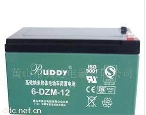 宝迪电动车蓄电池胶体免维护12V