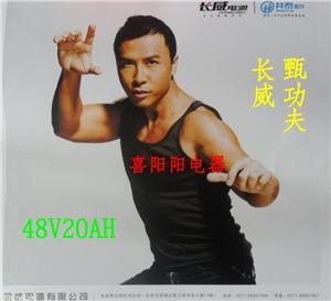 义乌电动车电池48V20AH