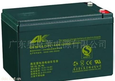 奥克莱6DZM10电动车蓄电池