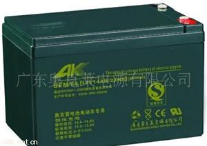 奥克莱6DZM10电动车蓄电池