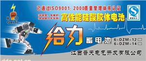 给力牌电池