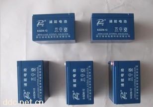 12V免维护动力电动车蓄电池