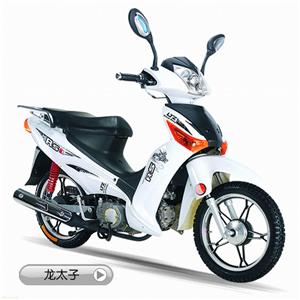 100四档龙太子燃油助力车
